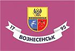 Флаг города Вознесенск